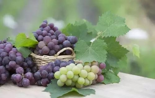 葡萄的功效与作用 葡萄不能和什么一起吃