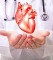 如何有效的预防老年心脏病呢？