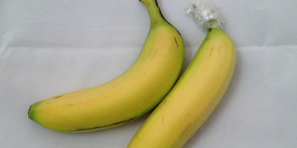 未熟透的香蕉易致便秘