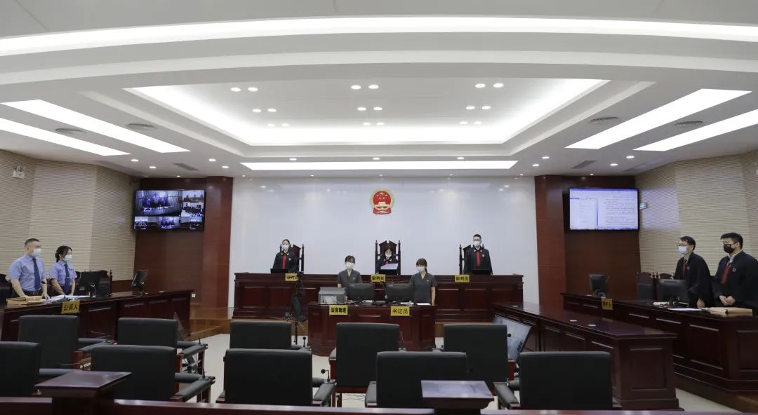 广东法院宣判6起养老诈骗案件