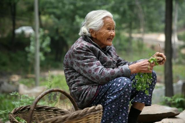 农村迎来好消息，农民无法种地怎么办？4个方法助你解决养老！