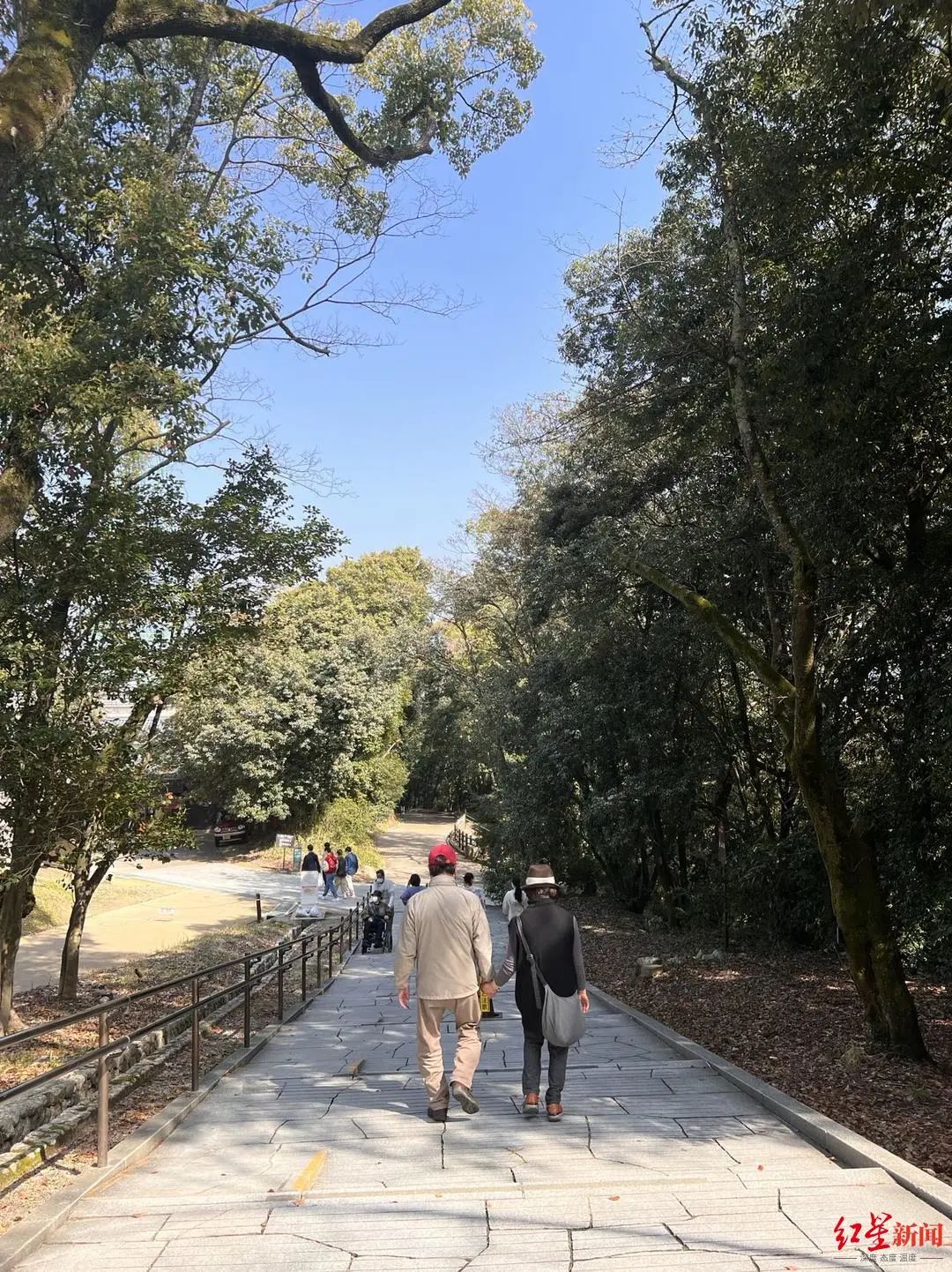 日本的公园里，一对老年夫妇手牵着手散步。受访者供图
