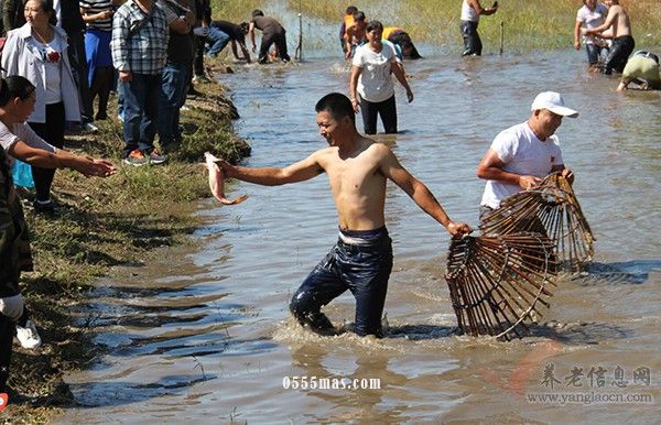 迎双节：达斡尔民族乡举行民族传统体育竞技运动会【组图】