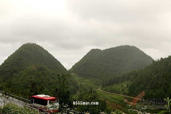 重庆市巫山县李美成老人还是森林的守护神