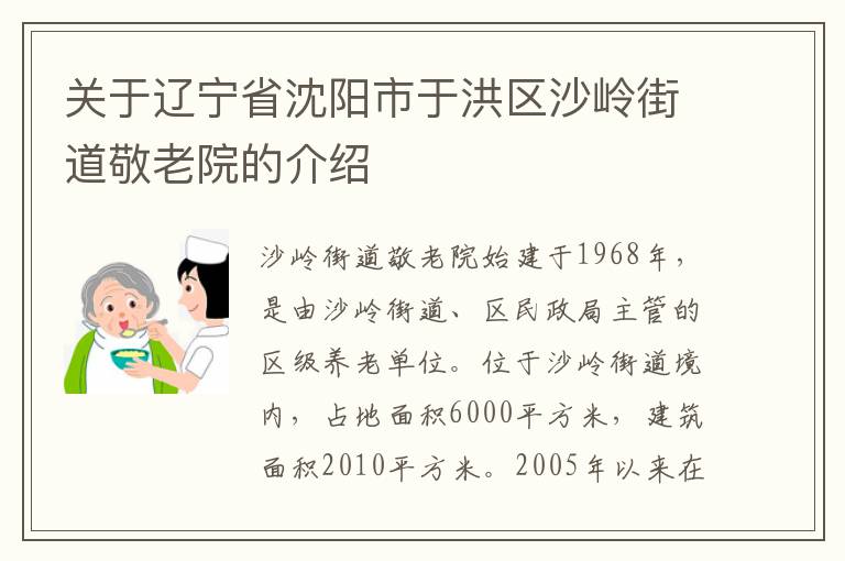 关于辽宁省沈阳市于洪区沙岭街道敬老院的介绍